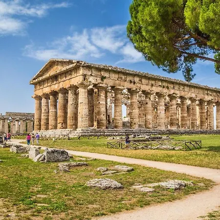 Picaro * ポンテカニャーノ